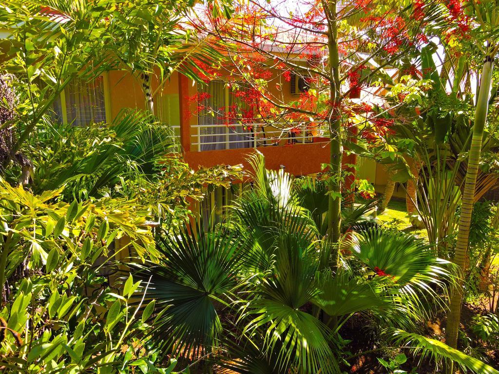 Koniambo Hotel โกเน ห้อง รูปภาพ