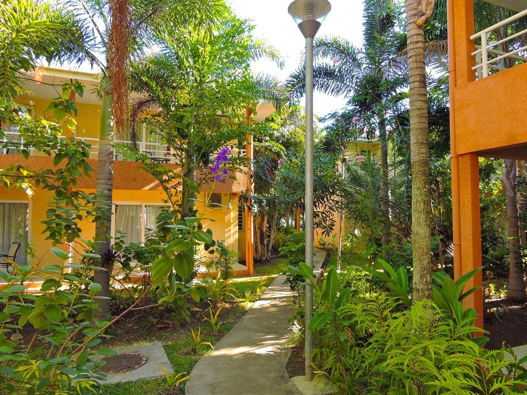 Koniambo Hotel โกเน ภายนอก รูปภาพ